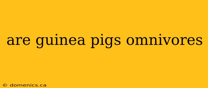 are guinea pigs omnivores