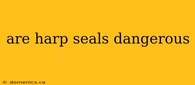 are harp seals dangerous