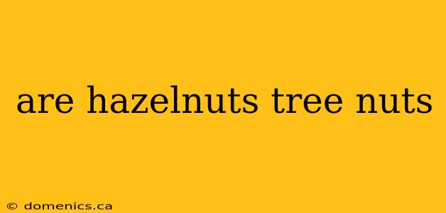 are hazelnuts tree nuts