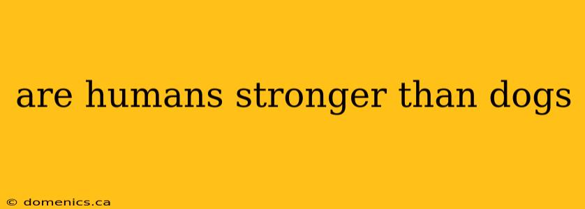 are humans stronger than dogs