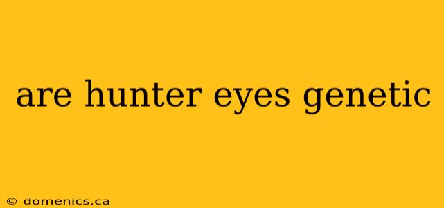 are hunter eyes genetic