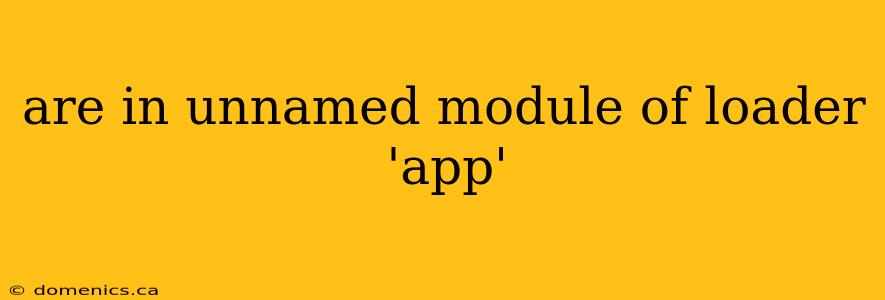 are in unnamed module of loader 'app'