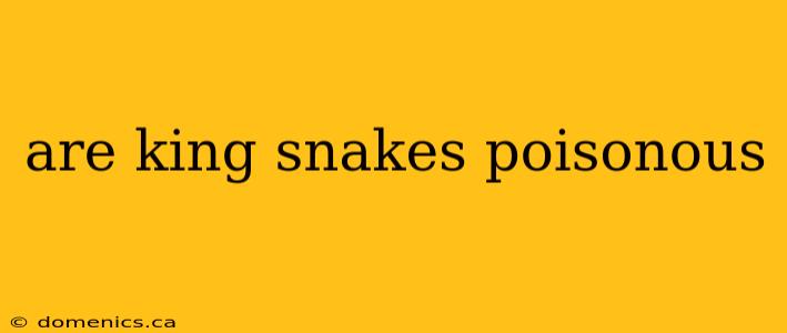 are king snakes poisonous