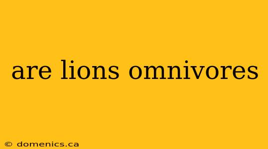 are lions omnivores