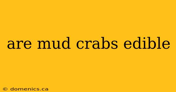 are mud crabs edible