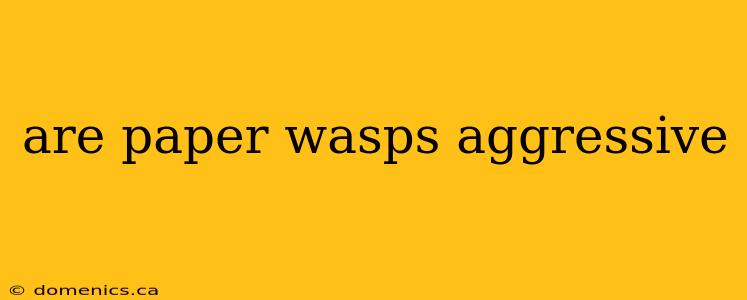 are paper wasps aggressive