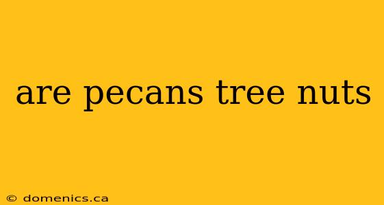 are pecans tree nuts