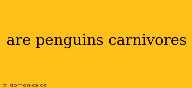 are penguins carnivores