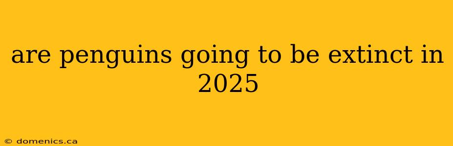 are penguins going to be extinct in 2025