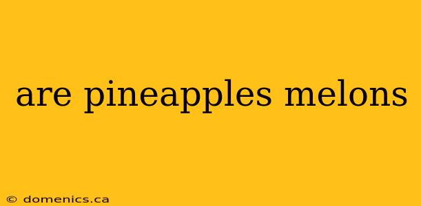 are pineapples melons