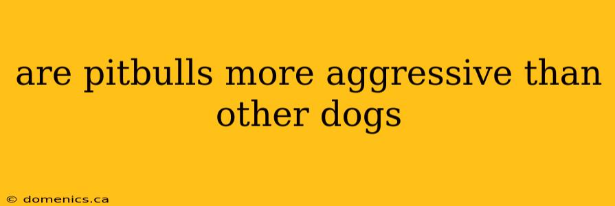 are pitbulls more aggressive than other dogs