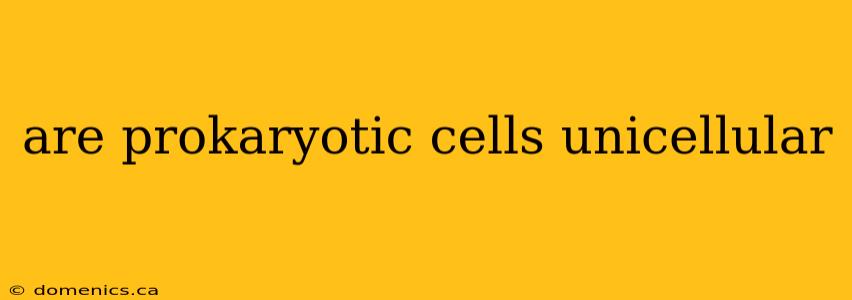 are prokaryotic cells unicellular