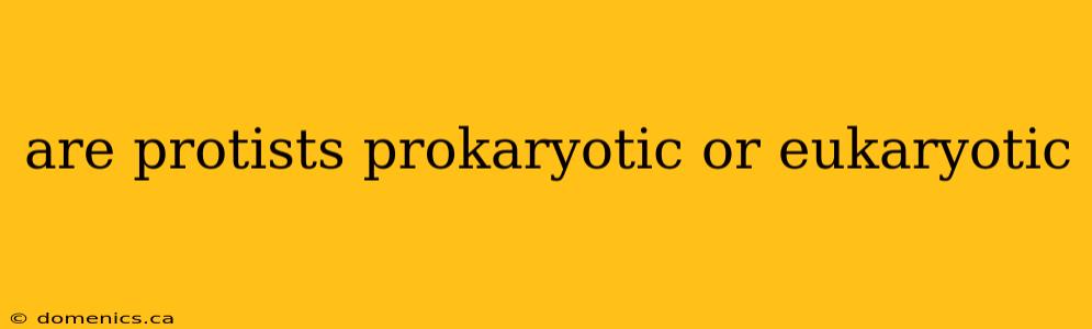 are protists prokaryotic or eukaryotic