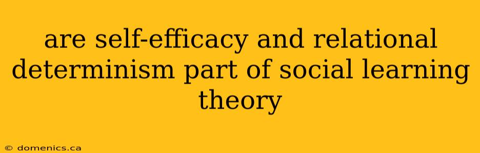 are self-efficacy and relational determinism part of social learning theory