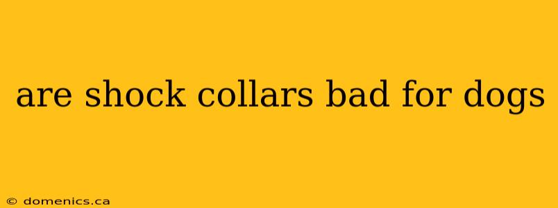 are shock collars bad for dogs