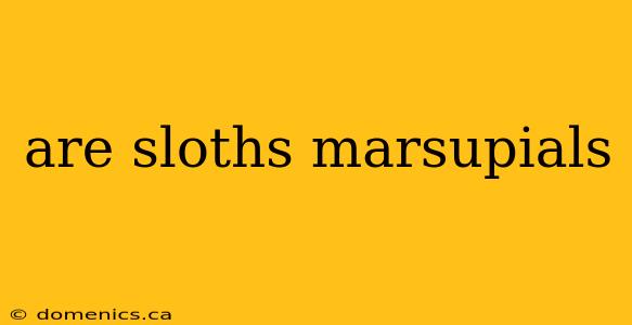 are sloths marsupials