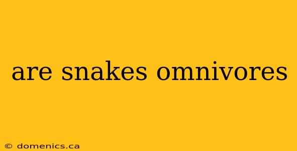 are snakes omnivores