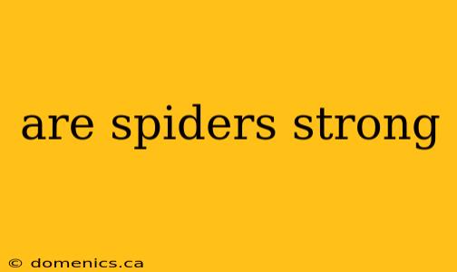 are spiders strong