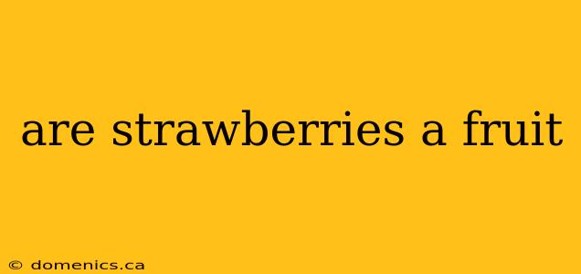 are strawberries a fruit