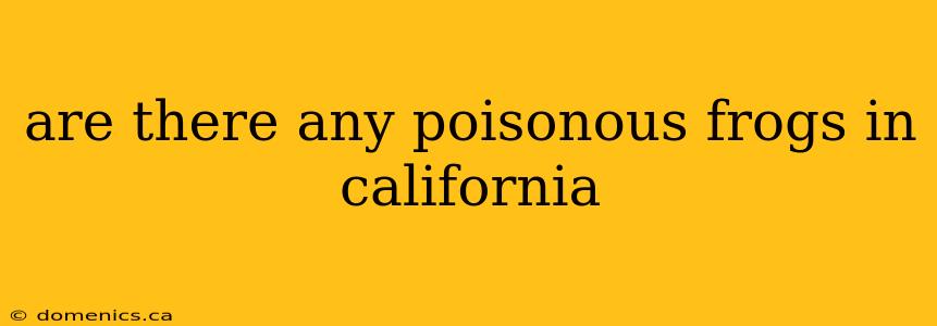 are there any poisonous frogs in california