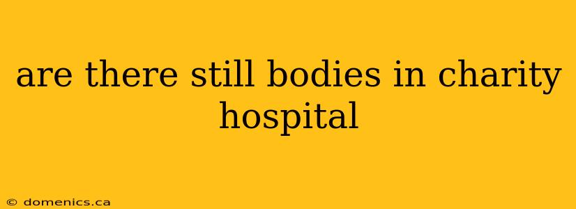 are there still bodies in charity hospital