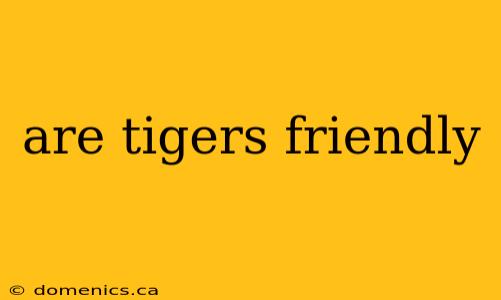 are tigers friendly