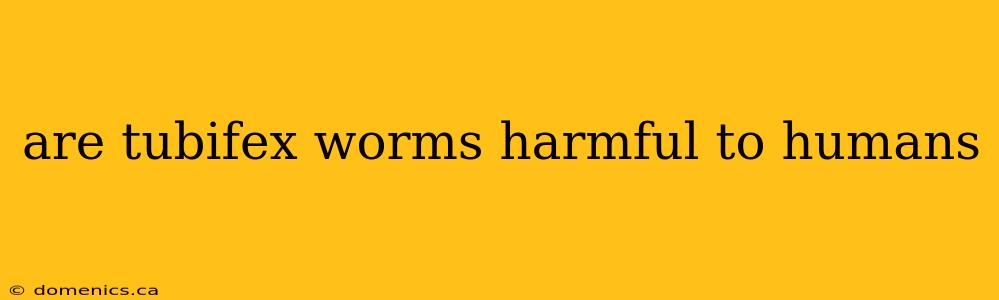 are tubifex worms harmful to humans