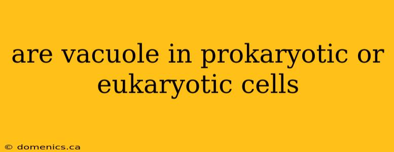 are vacuole in prokaryotic or eukaryotic cells