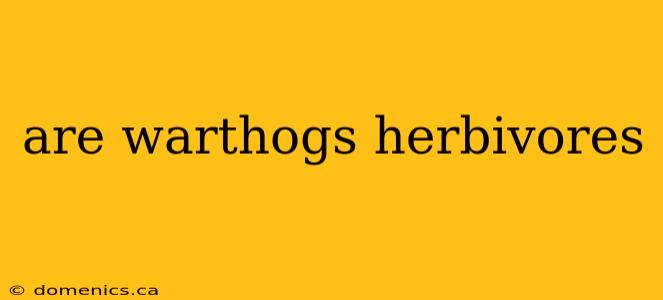 are warthogs herbivores