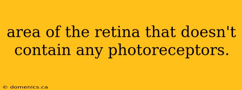 area of the retina that doesn't contain any photoreceptors.