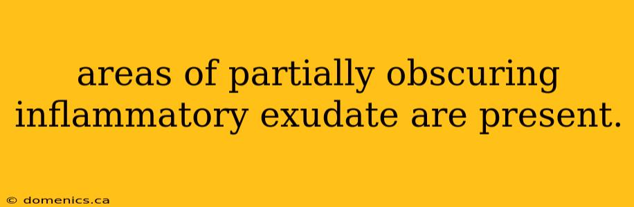 areas of partially obscuring inflammatory exudate are present.