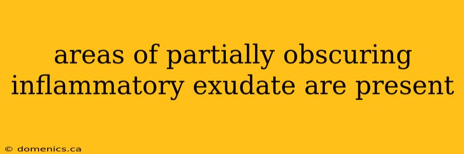 areas of partially obscuring inflammatory exudate are present