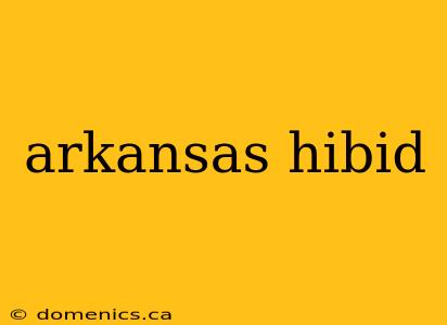 arkansas hibid