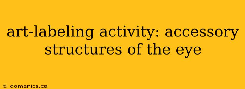 art-labeling activity: accessory structures of the eye