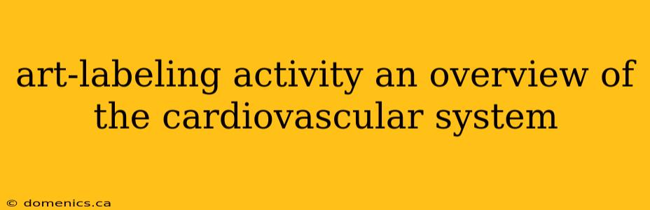 art-labeling activity an overview of the cardiovascular system