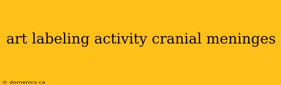 art labeling activity cranial meninges