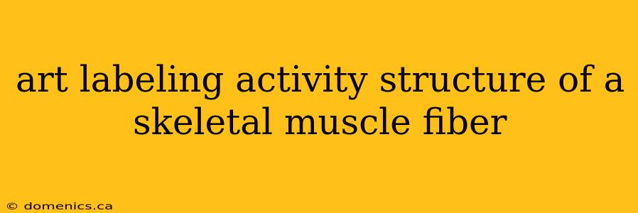 art labeling activity structure of a skeletal muscle fiber