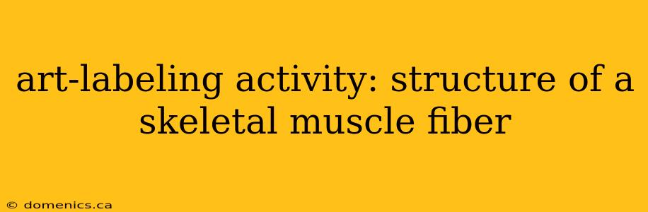 art-labeling activity: structure of a skeletal muscle fiber