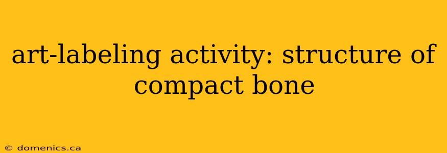 art-labeling activity: structure of compact bone