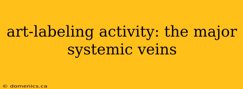 art-labeling activity: the major systemic veins