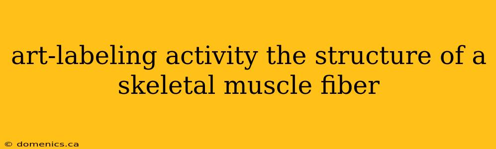 art-labeling activity the structure of a skeletal muscle fiber