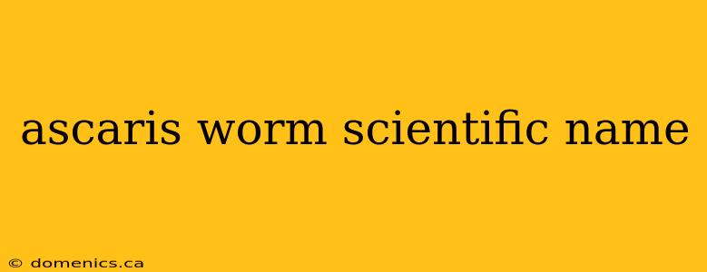 ascaris worm scientific name