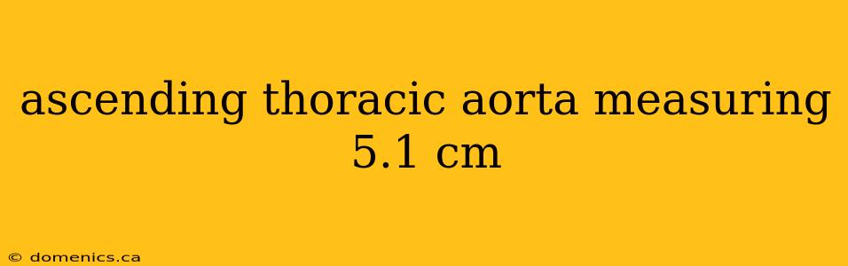 ascending thoracic aorta measuring 5.1 cm