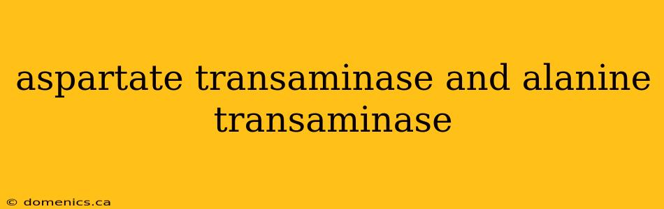 aspartate transaminase and alanine transaminase