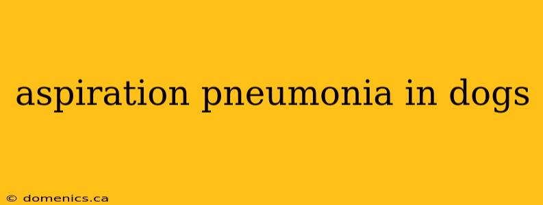 aspiration pneumonia in dogs