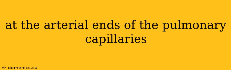 at the arterial ends of the pulmonary capillaries