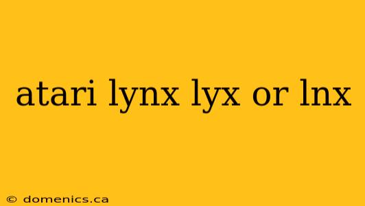 atari lynx lyx or lnx