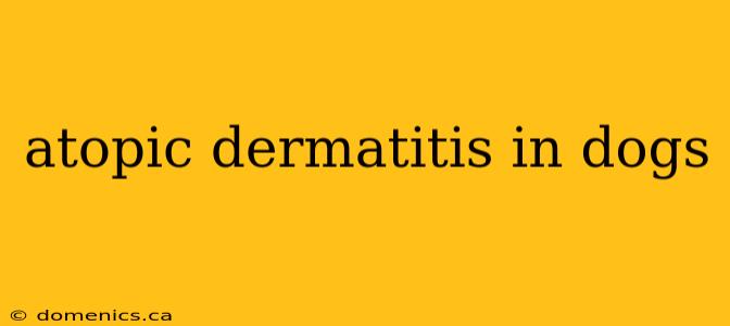 atopic dermatitis in dogs