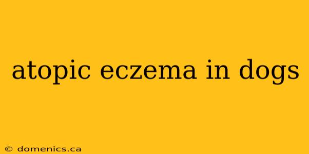 atopic eczema in dogs