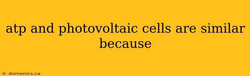 atp and photovoltaic cells are similar because